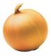 Onion For Acne   Good Or Bad